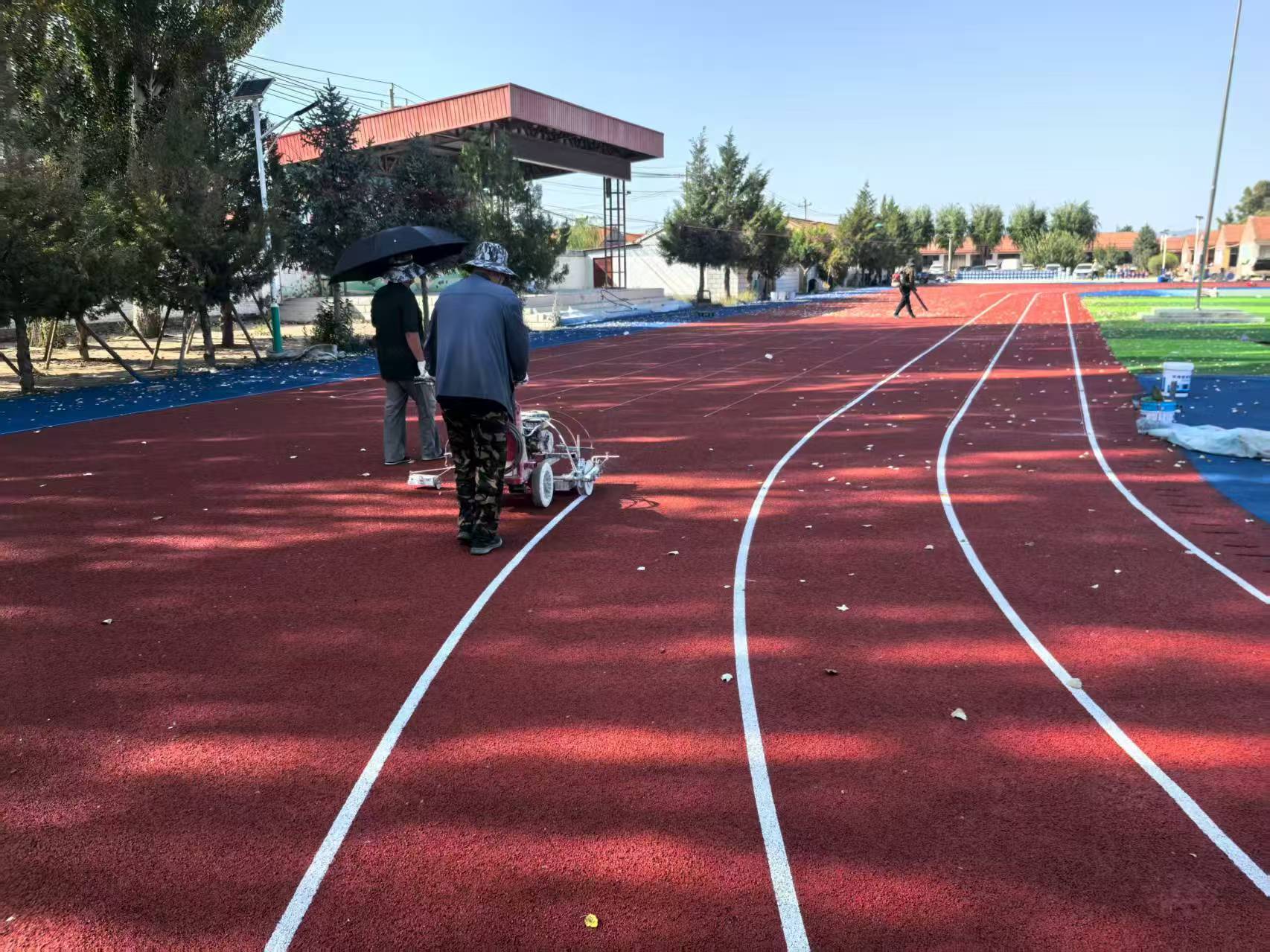 成都市EPDM塑胶跑道复合型塑胶跑道 - 推荐